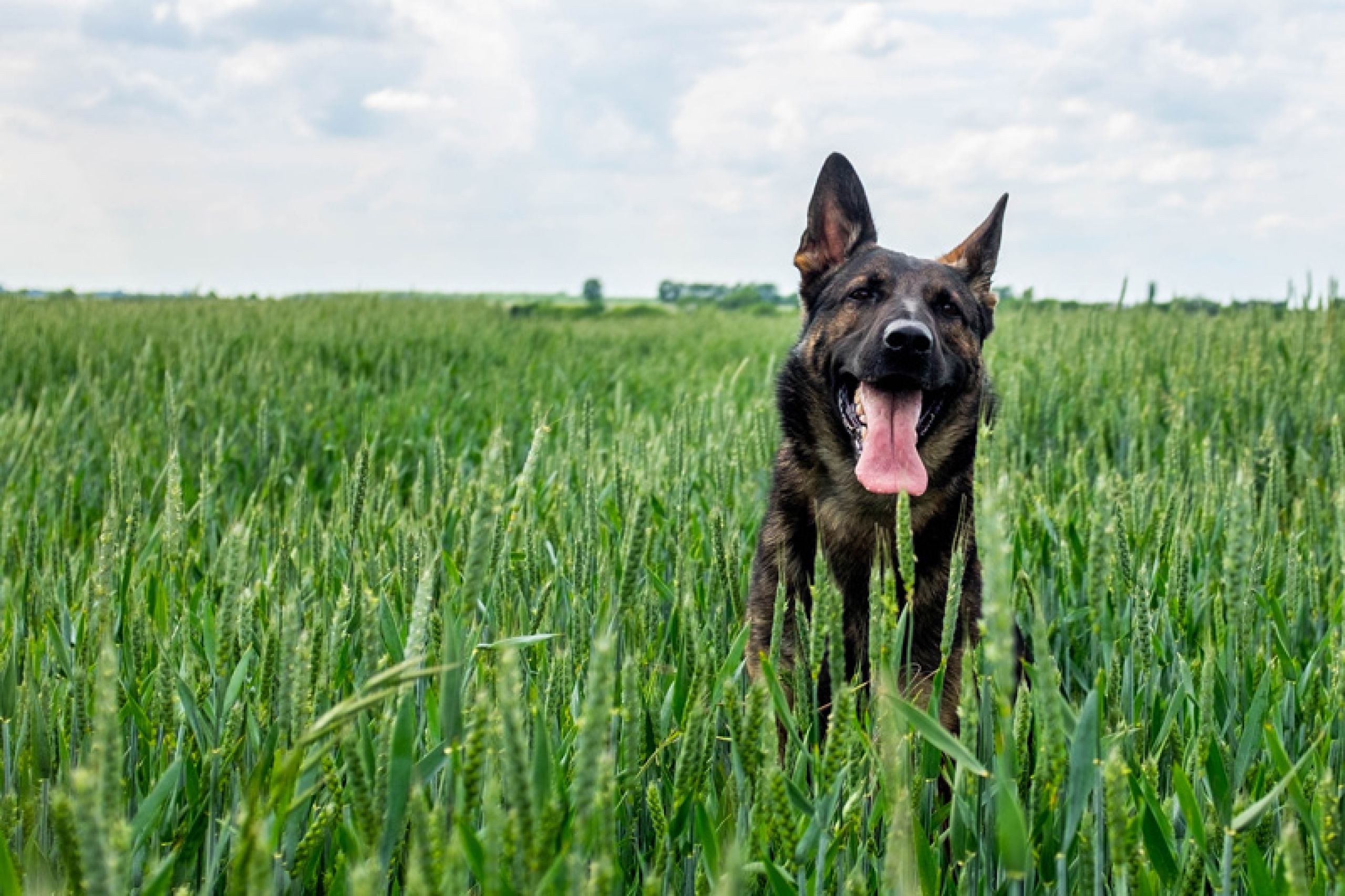 A fully qualified medical team