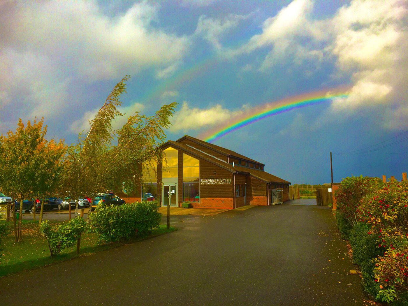 Losing your pet is one of the hardest things many people have to face.