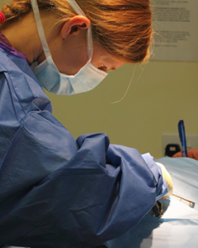 Vanessa Prior using acupuncture to relieve a pet pain