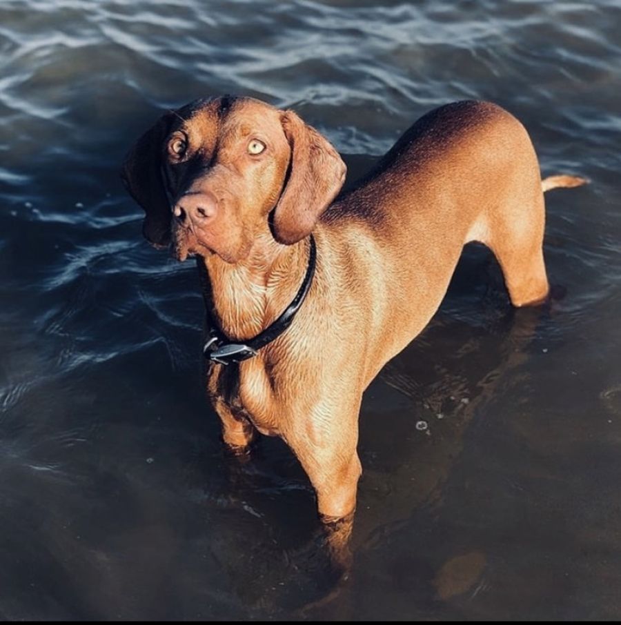 Be part of the international database, it's the law!