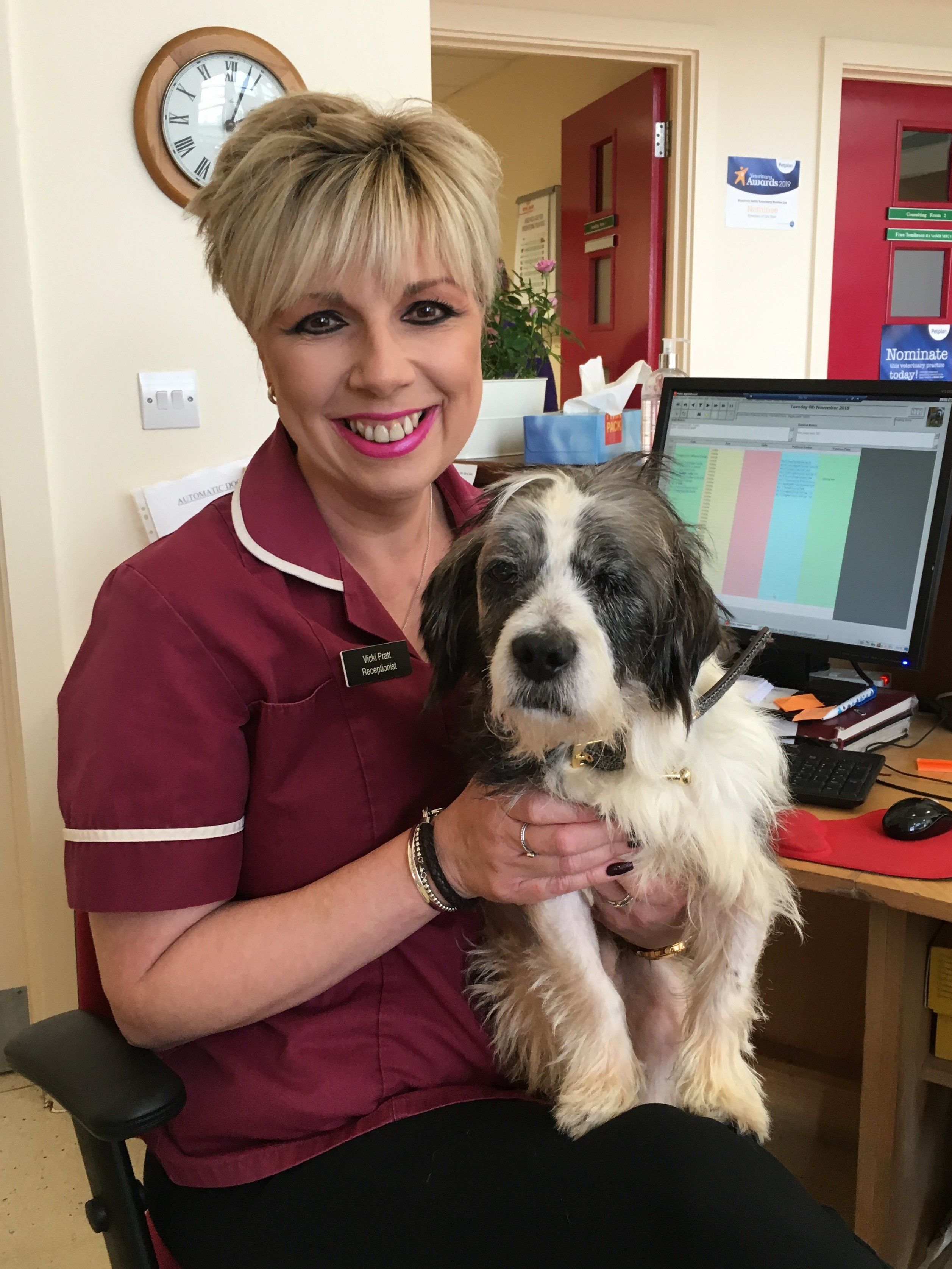 Caring for your Pets