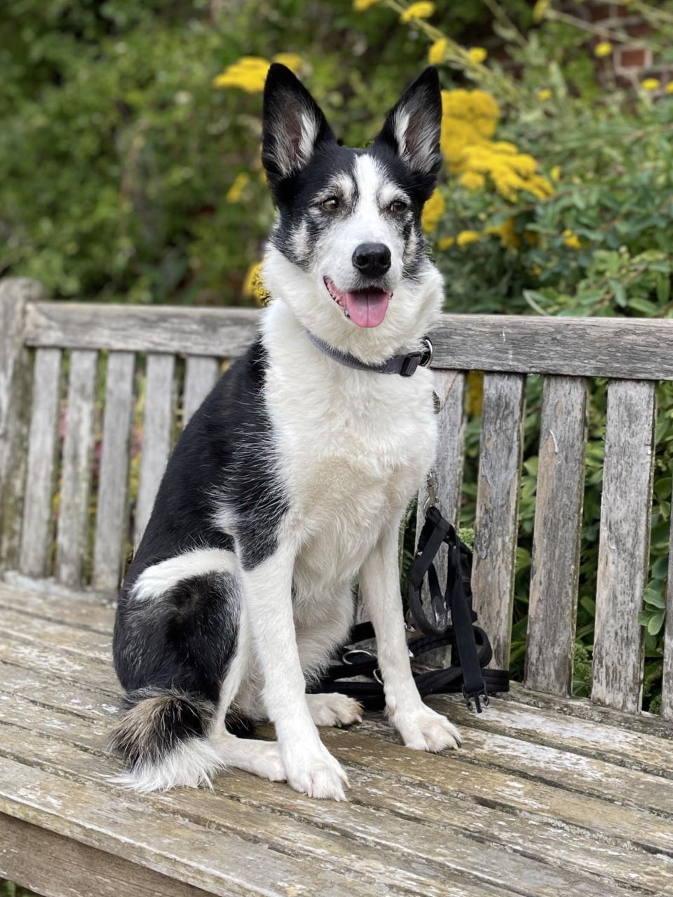 Truder lost 1kg on our weight loss clinic.