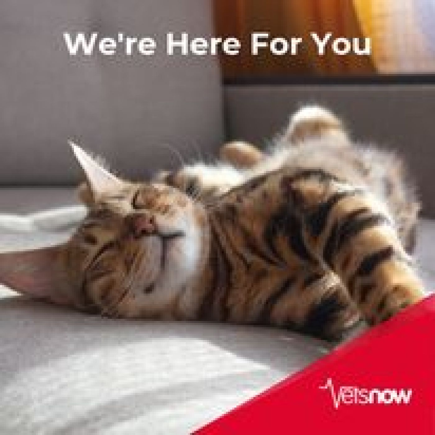 Call 01582 967089 in emergency