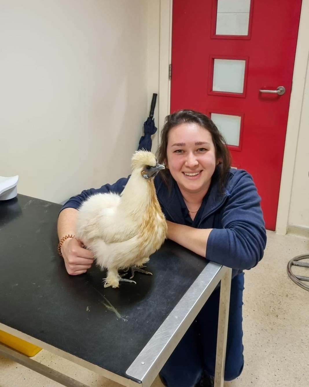 David Williams performing eye surgery at our practice