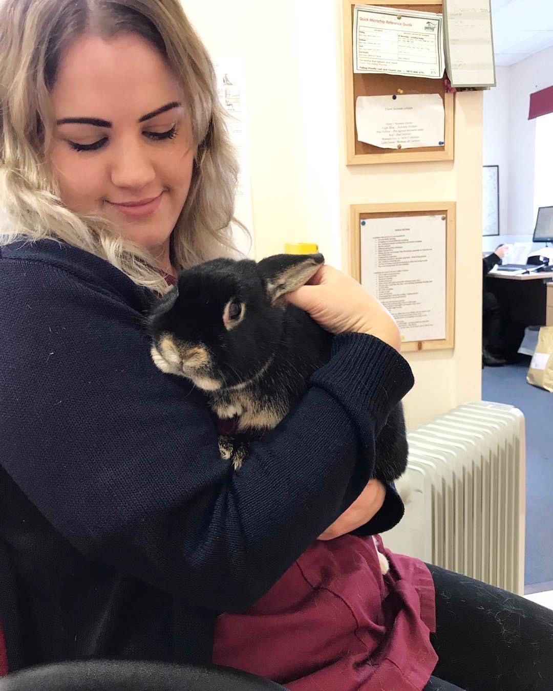 Caring for your Pets