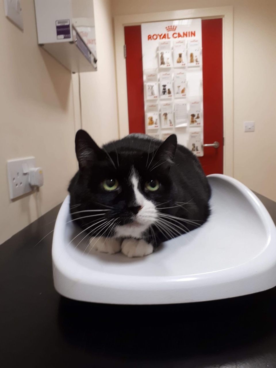 Truder lost 1kg on our weight loss clinic.